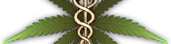 large_medical-marijuana
