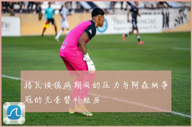 格瓦谈伤病期间的压力与阿森纳争冠的无奈替补经历